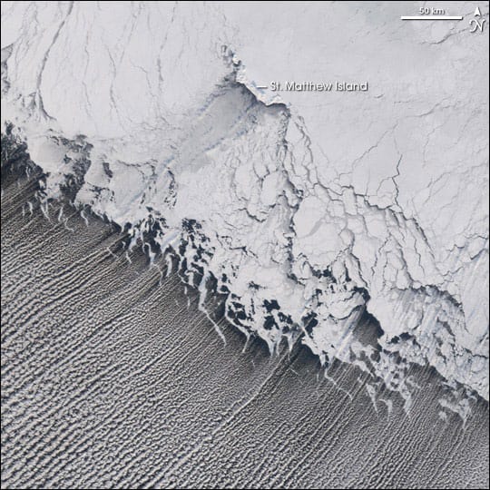 Calles de nubes: delgadas líneas paralelas de nubes que se extienden desde la plataforma de hielo en una fotografía orbital en blanco y negro.