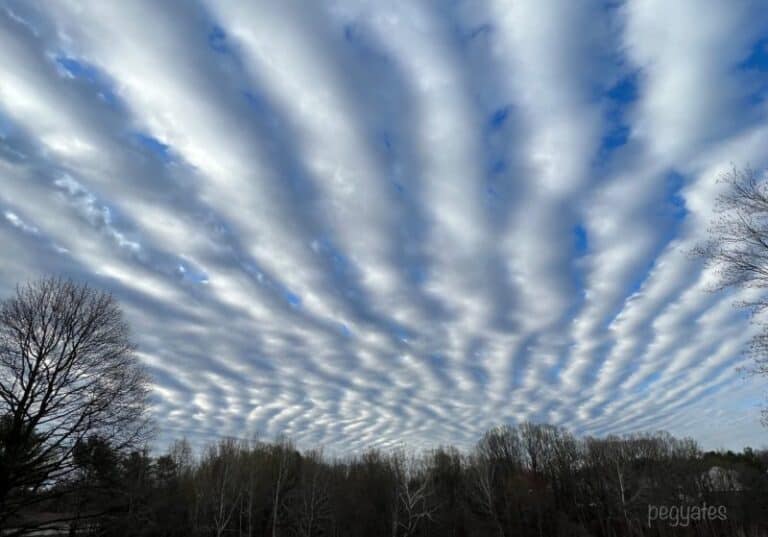 Las nubes Undulatus parecen filas onduladas