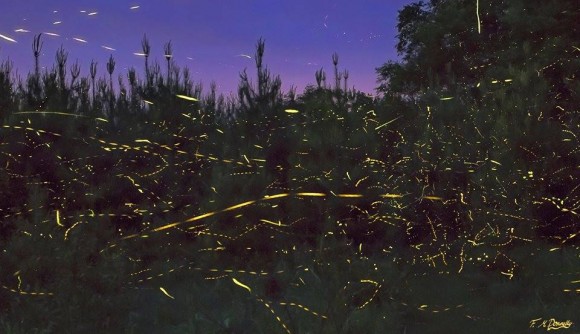 Paisaje nocturno con muchas rayas discontinuas cortas de color amarillo verdoso contra árboles de hoja perenne oscuros.