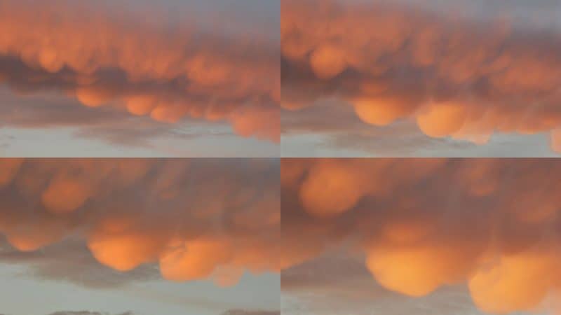 Cuatro imágenes de nubes con múltiples protuberancias redondeadas hacia abajo en la luz naranja del amanecer.