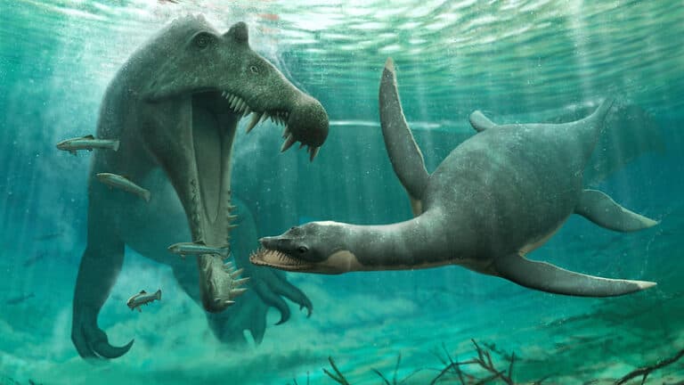 Fósiles de plesiosaurio de agua dulce generan preguntas sobre el Monstruo del Lago Ness