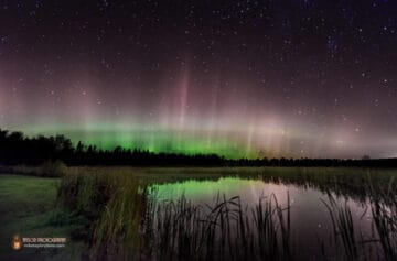 Aurora: Starry night with a field with water underneath. Pale green and pink colors are visible in both the sky and reflection in the water.